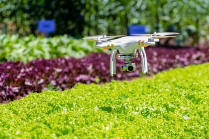 Cleantechs Smart Place Coworking